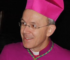 schneider i